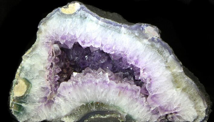 Dark Amethyst Geode From Brazil - lbs #34446